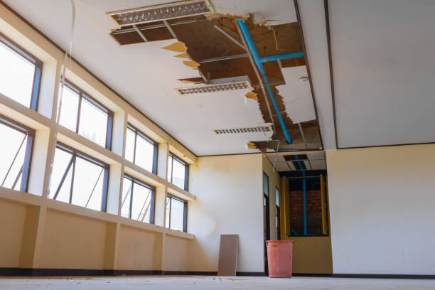 Best Water damage restoration near me  in Beattystown, NJ