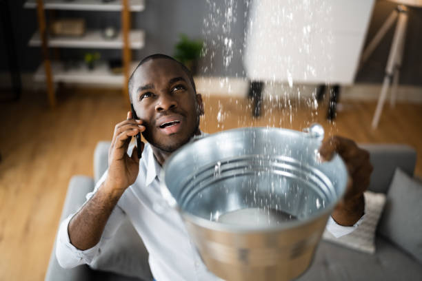 Best Ceiling water damage repair  in Beattystown, NJ