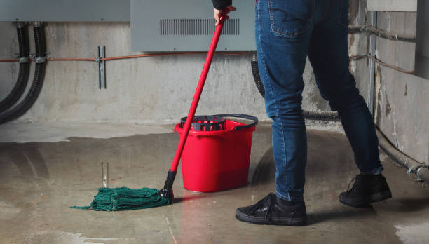 Best Flooded house restoration  in Beattystown, NJ