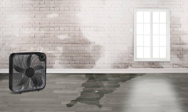 Best Water damage restoration company  in Beattystown, NJ