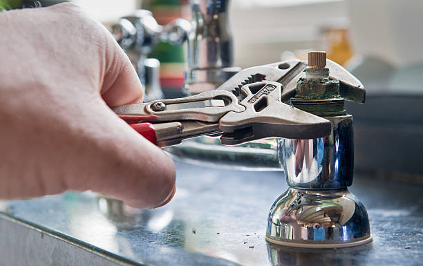 Best Mold removal after water damage  in Beattystown, NJ