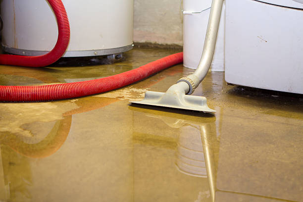 Best Fire Damage Restoration  in Beattystown, NJ