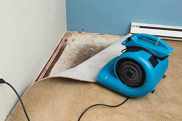 Best Sewage cleanup and water damage restoration  in Beattystown, NJ